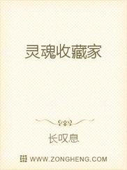 灵魂收藏家