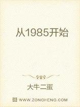 从1985开始