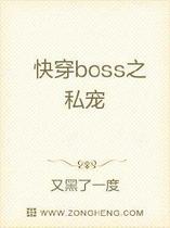 快穿boss之私宠