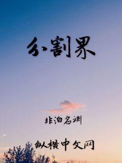 分割界