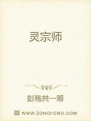 灵宗师