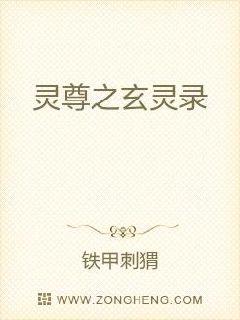 卧底神婿