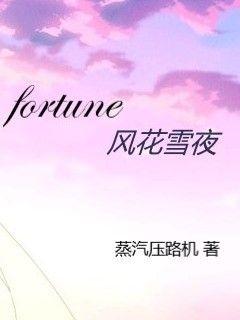 fortune风花雪夜