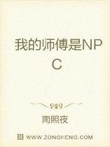 我的师傅是NPC