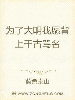 为了大明我愿背上千古骂名