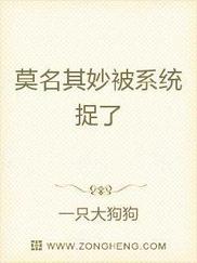 莫名其妙被系统捉了