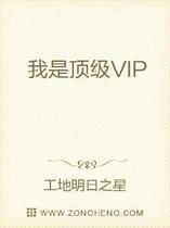 我是顶级VIP