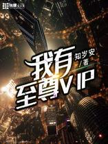 我有至尊VIP