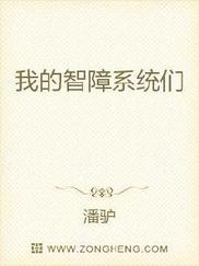 我的智障系统们