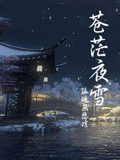 苍茫夜雪