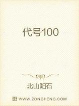 代号100