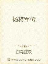 杨将军传