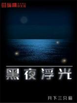 黑夜浮光