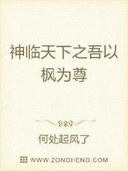 神临天下之吾以枫为尊