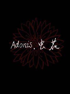 Adonis虫花