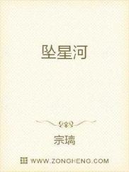 坠星河