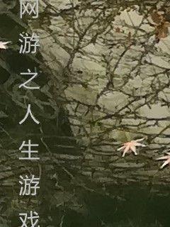 网游之人生游戏