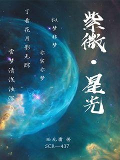 紫微星光