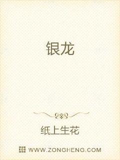 银龙