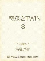 奇探之TWINS