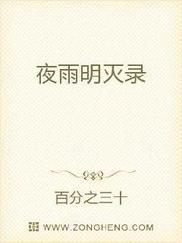 夜雨明灭录