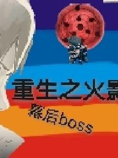 重生之火影幕后boss