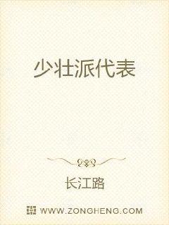 少壮派代表