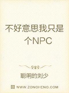 不好意思我只是个NPC