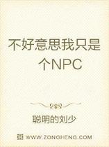 不好意思我只是个NPC