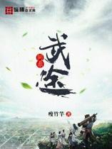 问鼎武途