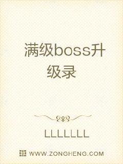 满级boss升级录