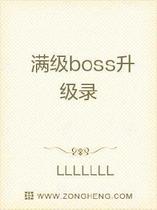 满级boss升级录