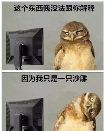 真的决战紫禁之巅