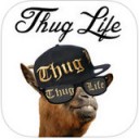 thug life maker ios v2.5最新版本2022下载地址
