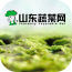 山东蔬菜网