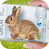 手机的小兔子