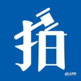 拍拍国际