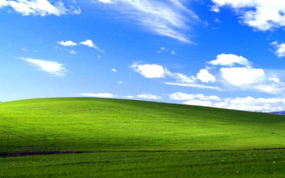 微软决定延长Windows XP寿命至2015年7月