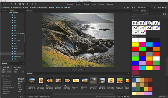 Adobe Bridge 2020 Win中文破解版免费下载